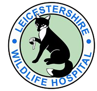 Fund raising for save forest.